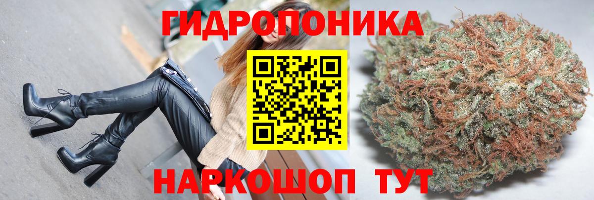Бошки Шишки Amnesia Лысьва